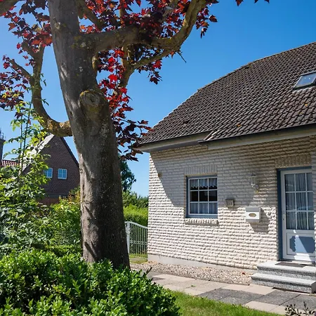 Vogel Dahmeshoeved 21 B Dahme (Schleswig-Holstein)